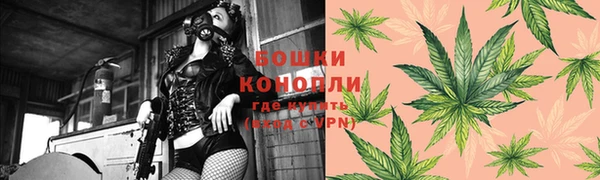 крисы Алзамай