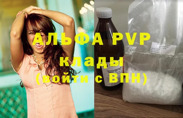 крисы Алзамай