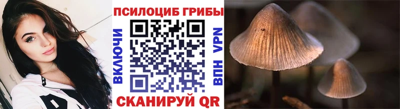 Псилоцибиновые грибы прущие грибы  hydra сайт  Губкин 