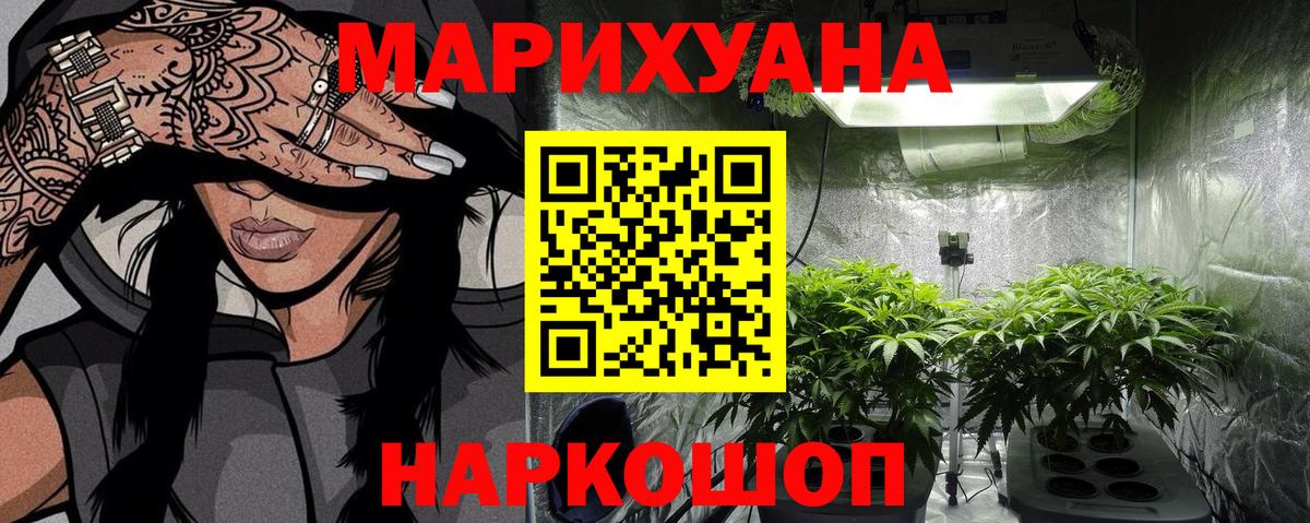 Бошки Шишки White Widow  Вход с VPN  Губкин  Канабис марихуана  Каннабис сатива 